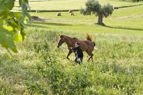 Hostal Agriturismo Il Gelso Antico