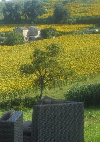 Hostal Agriturismo Il Gelso Antico