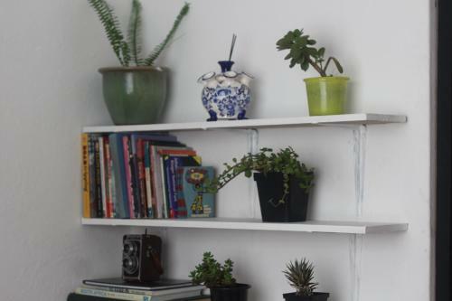 Albergue Curiocity Backpackers