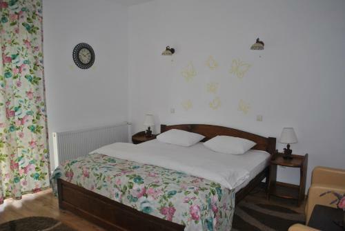 Hostal Pensiunea Lotus