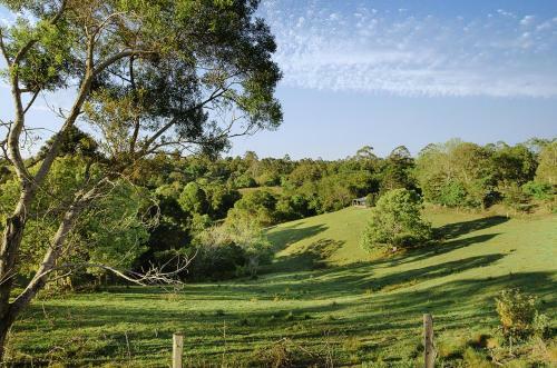 Agroturismo Jacaranda Cottages