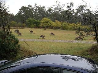 Agroturismo Hunter Hideaway Cottages