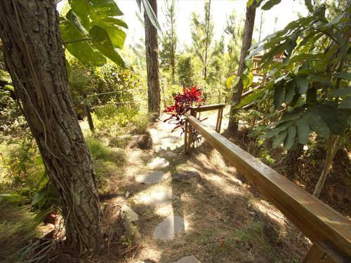 Hotel Luxury Camping Panama