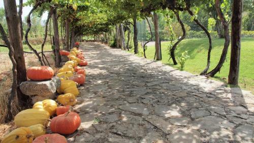 Agroturismo Casa Dos Ara�jos