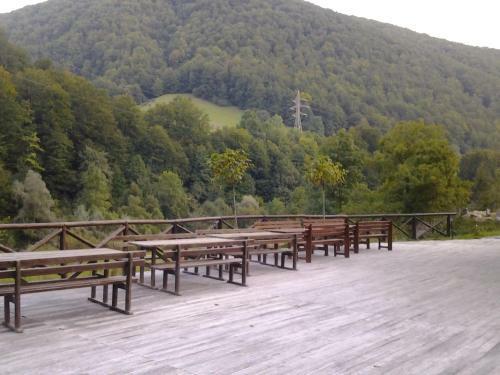 Hostal Pensiunea Apuseni Wild