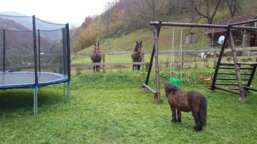 Hostal Pensiunea Apuseni Wild