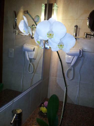 Apartamento Villa Floreal Hotel Boutique