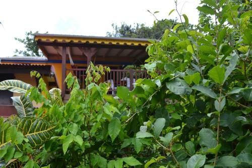 Apartamento Villa De Reves