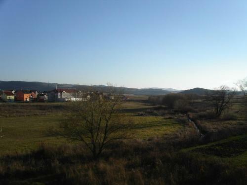 Apartments Marevic