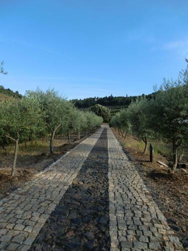 Agroturismo Quinta Das Aveleiras