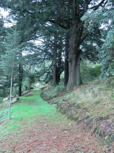 Agroturismo Quinta Das Aveleiras