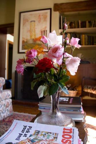 Bed & Breakfast Wildekrans Country House