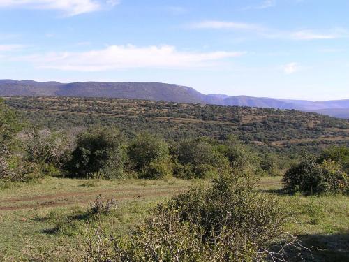 Bed & Breakfast Mpotshane Safaris