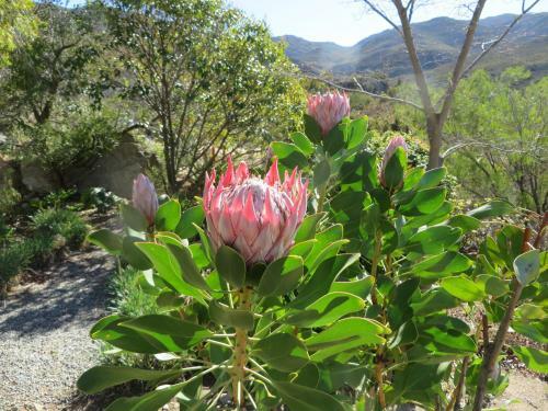 Hotel Bo Kouga Mountain Retreat