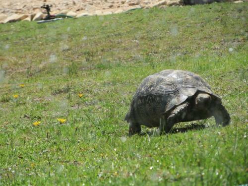 Hotel Bo Kouga Mountain Retreat