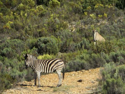 Hotel Bo Kouga Mountain Retreat