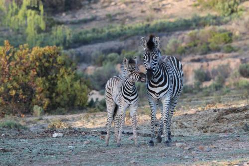Hotel Bo Kouga Mountain Retreat