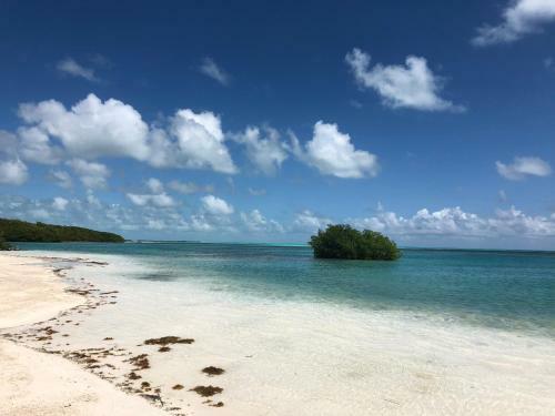 Hotel Royal Palm Island Resort