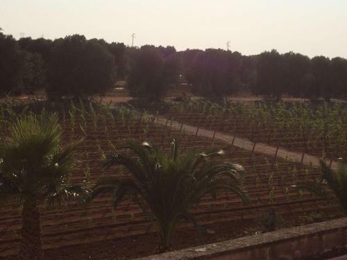 Agroturismo Tenuta Annibale
