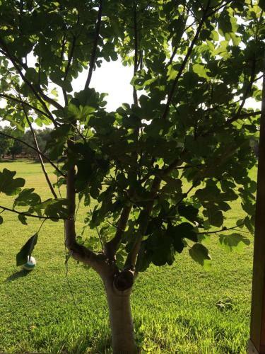Agroturismo Tenuta Annibale