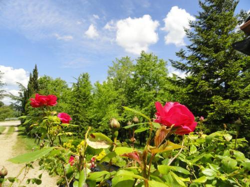 Agroturismo Borgo Petraio