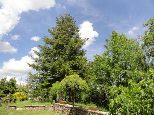 Agroturismo Borgo Petraio