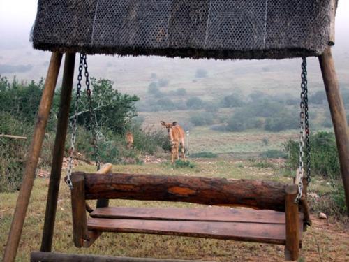 Hostal Addo Afrique Estate