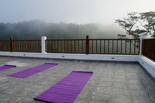 Hotel Niyagama House