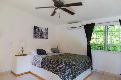 Bed & Breakfast Villa Botero By Casa Mojito