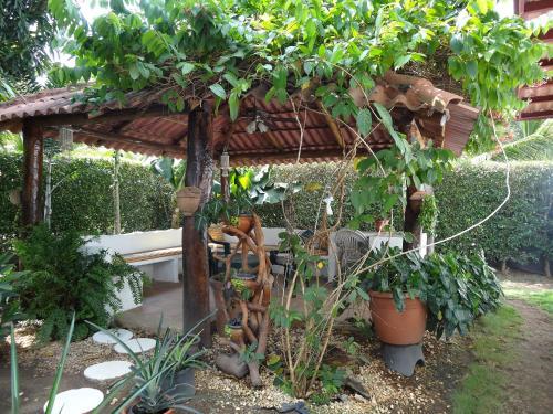 Bed & Breakfast Villa Botero By Casa Mojito