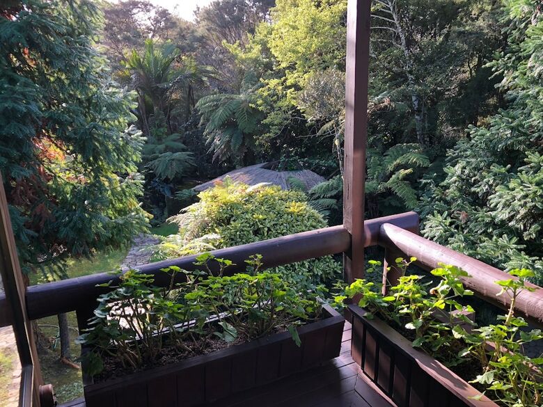 Bed & Breakfast Rapaura Watergardens