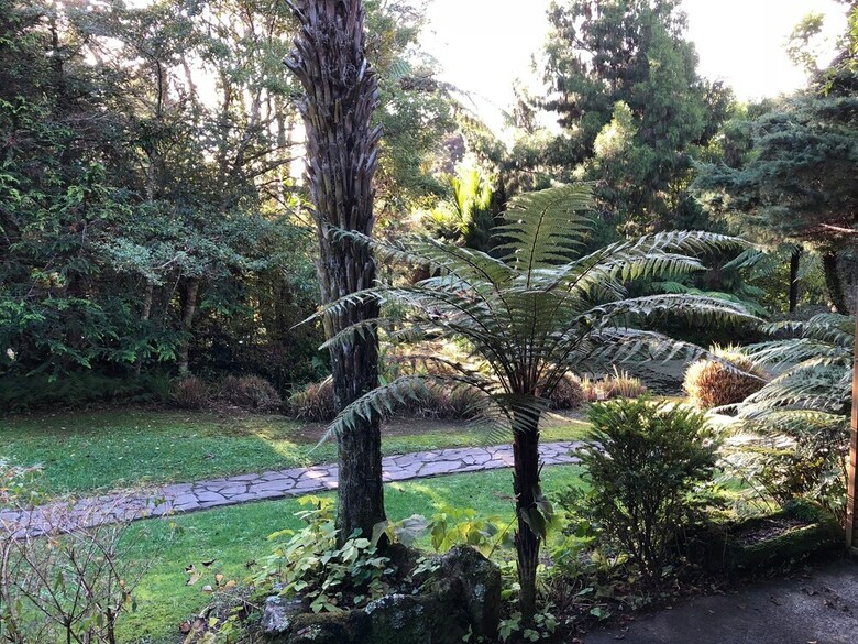 Bed & Breakfast Rapaura Watergardens