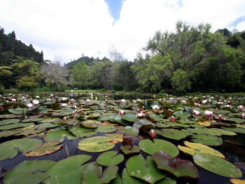 Bed & Breakfast Rapaura Watergardens
