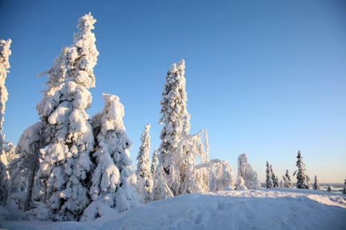 Hotel N�verniemi Holiday Center