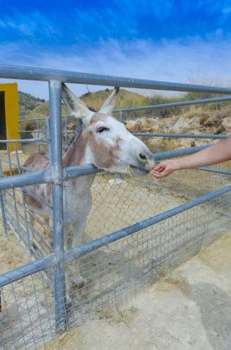 Agroturismo Finca Liarte