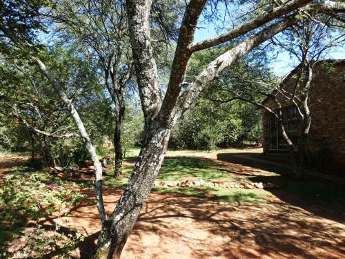 Meerkatplaats Guesthouse And B&B