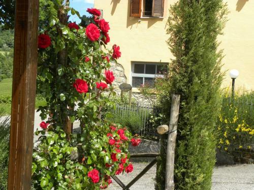 Apartamento Casa Vacanze La Ginestra