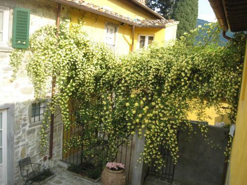 Agroturismo Agriturismo Villa Di Campolungo