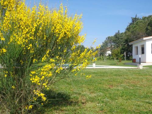 Agroturismo Agriturismo San Giuseppe