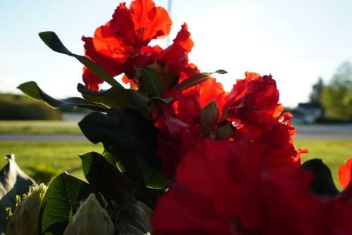 H�land Gaardsmotel