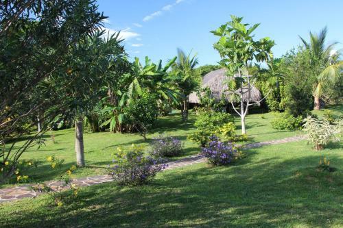 Bed & Breakfast Cabanas Los Colibris