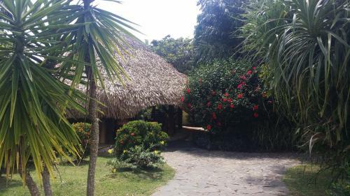Bed & Breakfast Cabanas Los Colibris