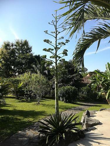Bed & Breakfast Cabanas Los Colibris