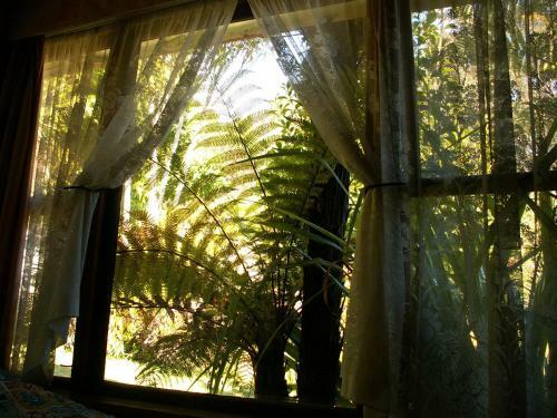 Hostal Little Paradise Lodge