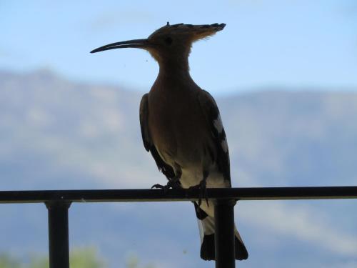 Agroturismo Quinta De Seves