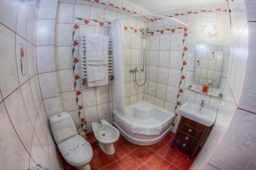 Hotel Karpatska Villa