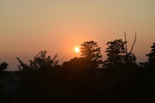 Hotel Chitwan Village Resort