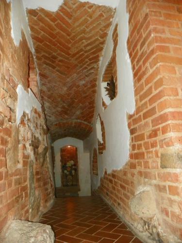Hostal Guest House Novus Rex