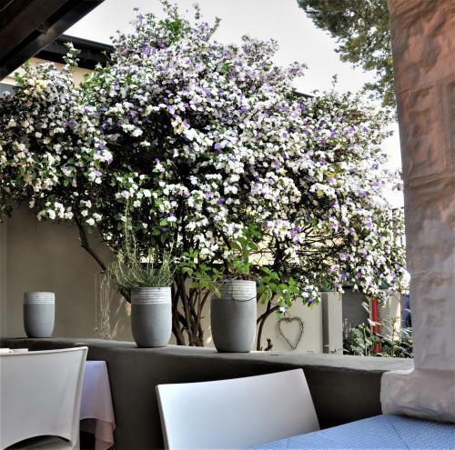 Apartamento Ginnegaap Guesthouse