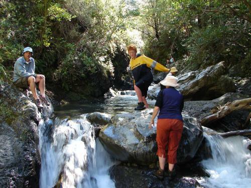 Mt Lyford Holiday Homes